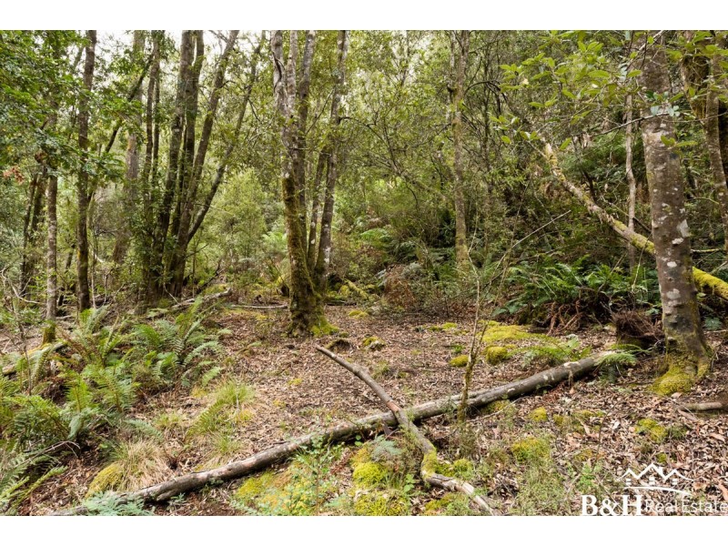450 Spellmans Road, Upper Castra TAS 7315