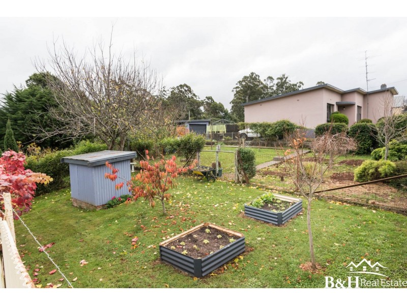 984 Ridgley Highway, Ridgley TAS 7321