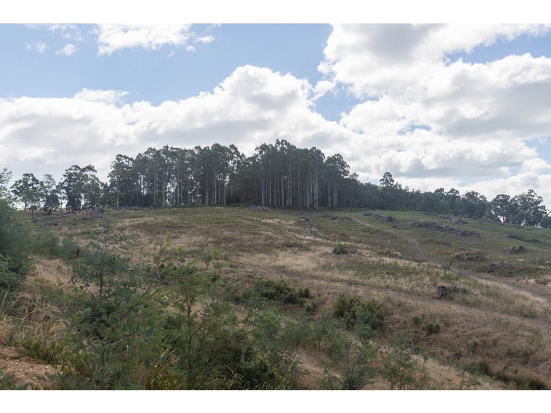 156 Melrose Road, Aberdeen TAS 7310