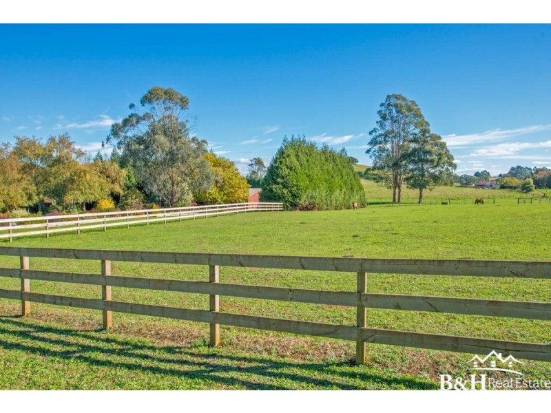 719 Circular Road, East Ridgley TAS 7321