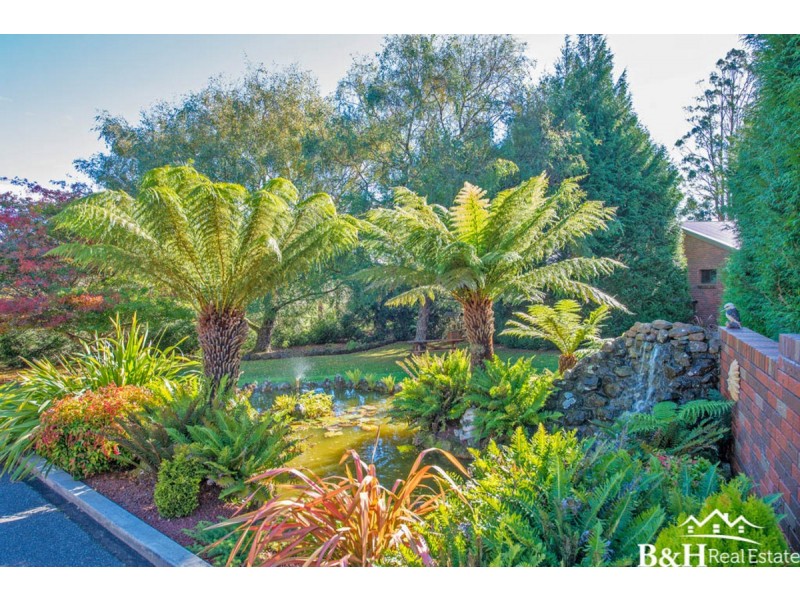 719 Circular Road, East Ridgley TAS 7321