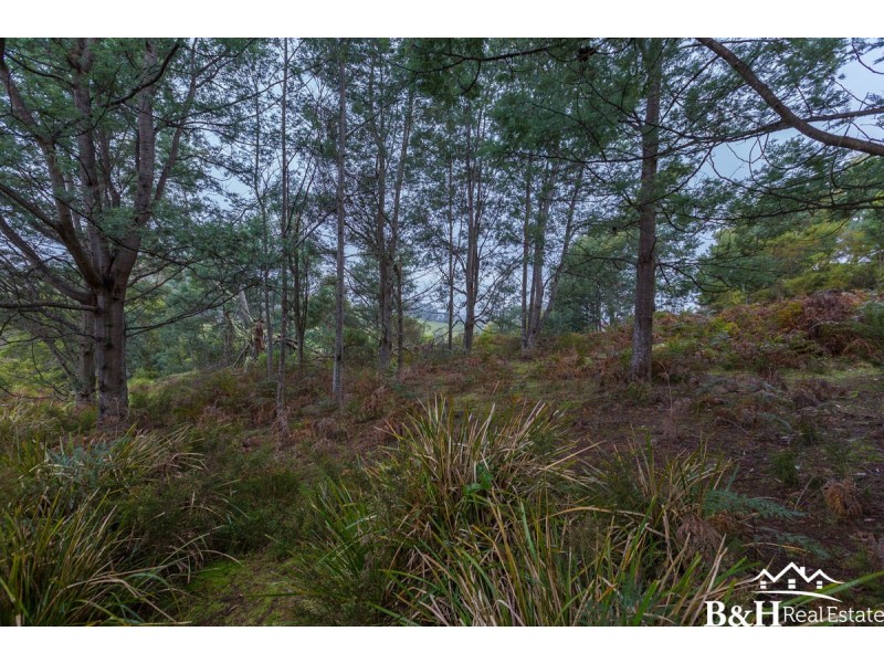Lot 5,  Dawkins Road, Lower Beulah TAS 7306