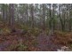Lot 5,  Dawkins Road, Lower Beulah TAS 7306