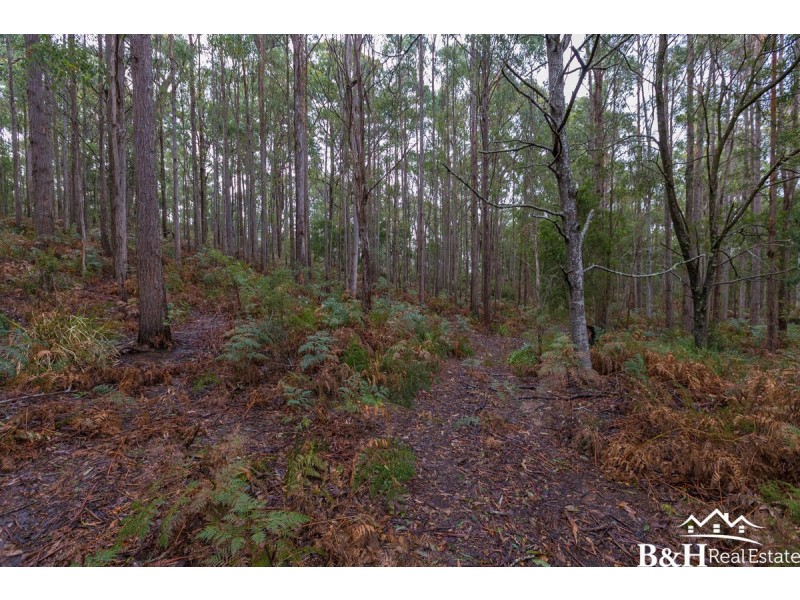 Lot 5,  Dawkins Road, Lower Beulah TAS 7306