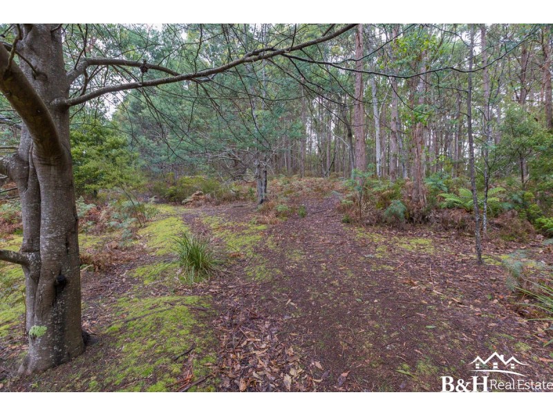 Lot 5,  Dawkins Road, Lower Beulah TAS 7306