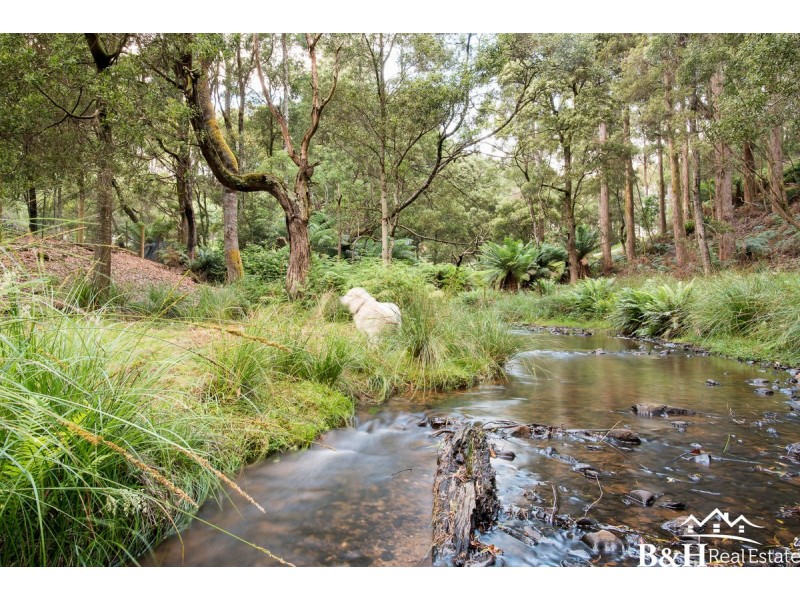 550 Back Cam Road, Somerset TAS 7322