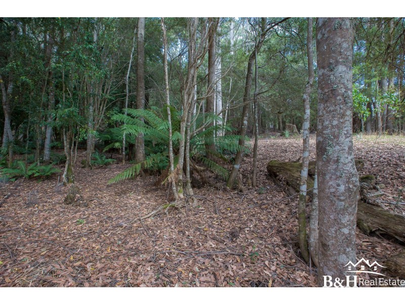 122 Greta Road, Upper Natone TAS 7321