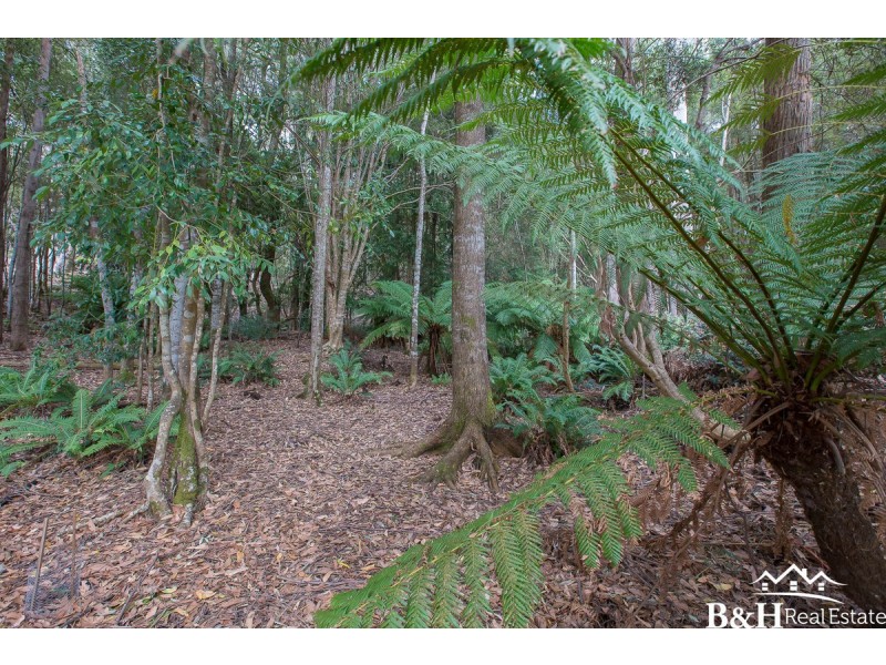 122 Greta Road, Upper Natone TAS 7321