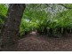 393 Lockwoods Road, Claude Road TAS 7306