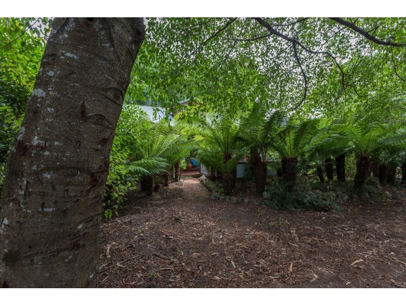 393 Lockwoods Road, Claude Road TAS 7306