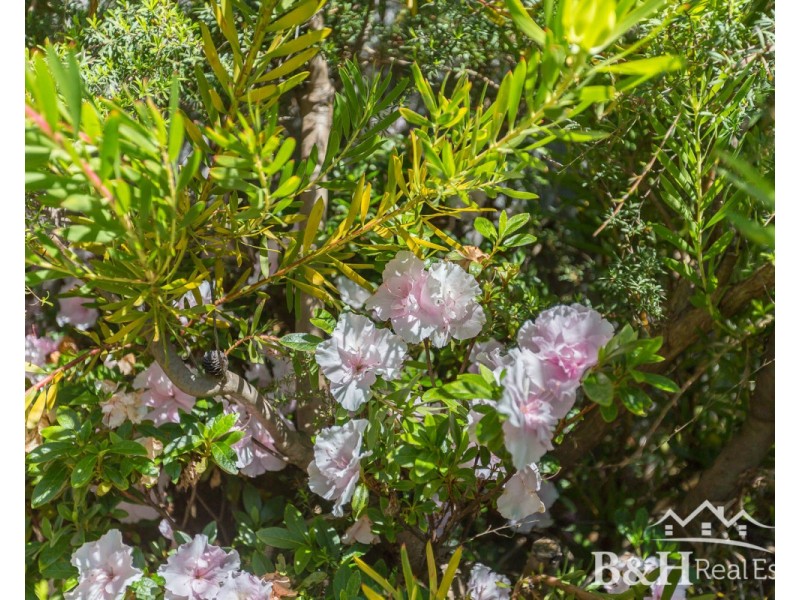 12 Crawford Street, Ulverstone TAS 7315