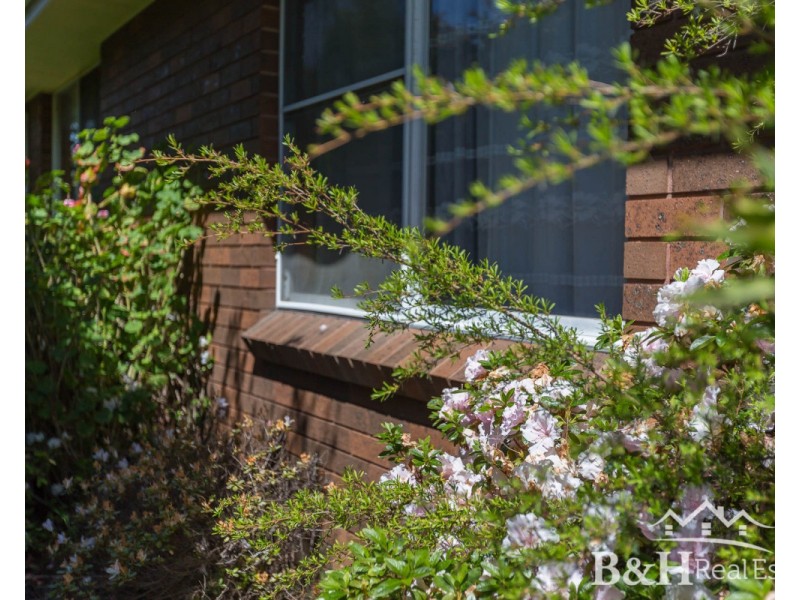 12 Crawford Street, Ulverstone TAS 7315