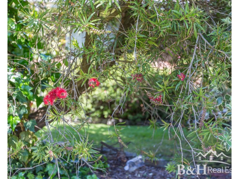 12 Crawford Street, Ulverstone TAS 7315