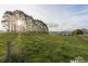 50 Barkers Road, South Riana TAS 7316