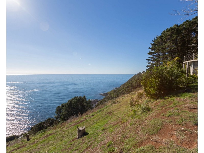 368 Tollymore Road, Table Cape TAS 7325