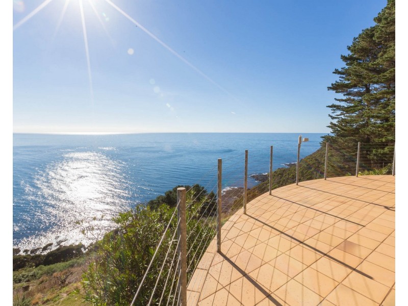 368 Tollymore Road, Table Cape TAS 7325