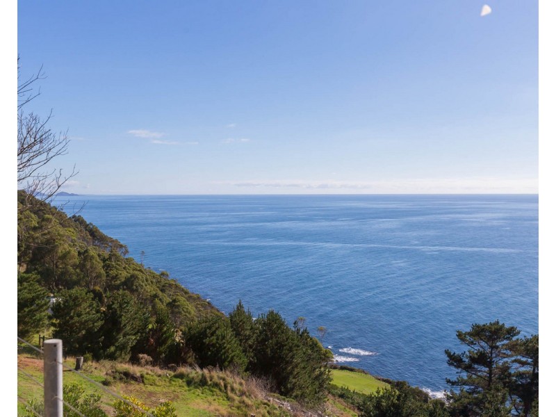 368 Tollymore Road, Table Cape TAS 7325