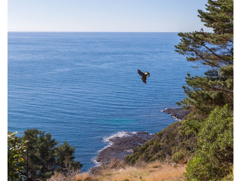 368 Tollymore Road, Table Cape TAS 7325