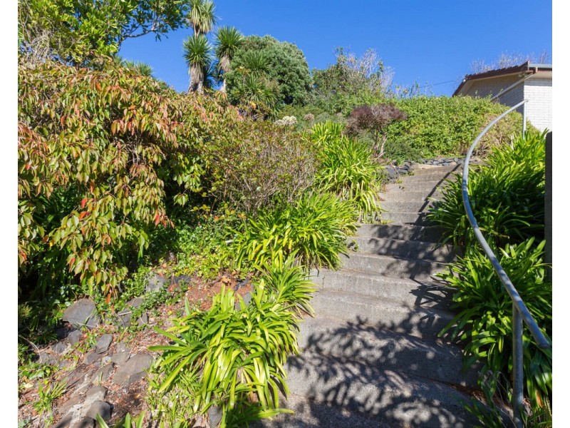 368 Tollymore Road, Table Cape TAS 7325