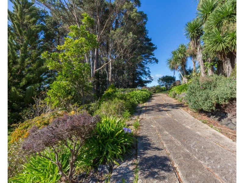 368 Tollymore Road, Table Cape TAS 7325