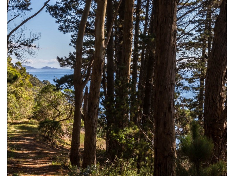 368 Tollymore Road, Table Cape TAS 7325