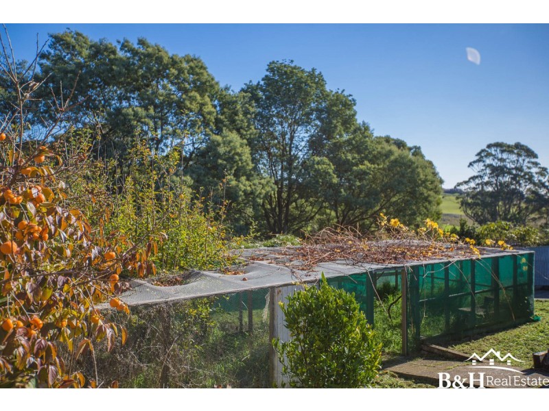 62 Ogden Street, Acton TAS 7320