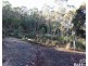 26 Twiss Street, Latrobe TAS 7307