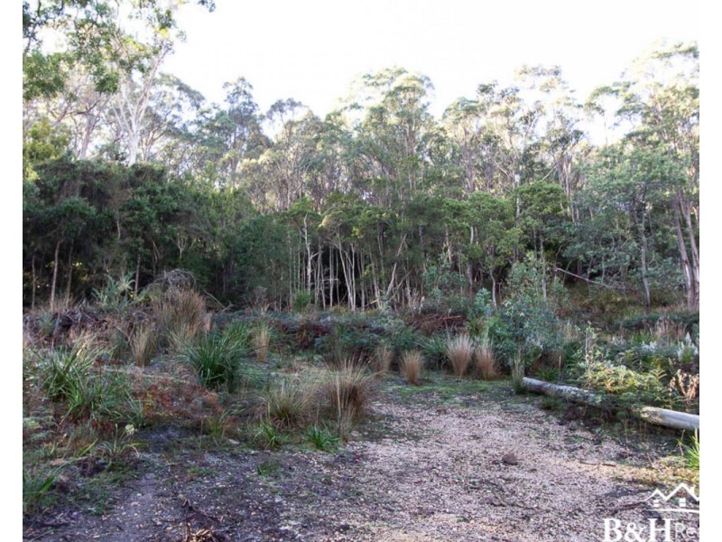 26 Twiss Street, Latrobe TAS 7307