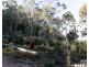 26 Twiss Street, Latrobe TAS 7307