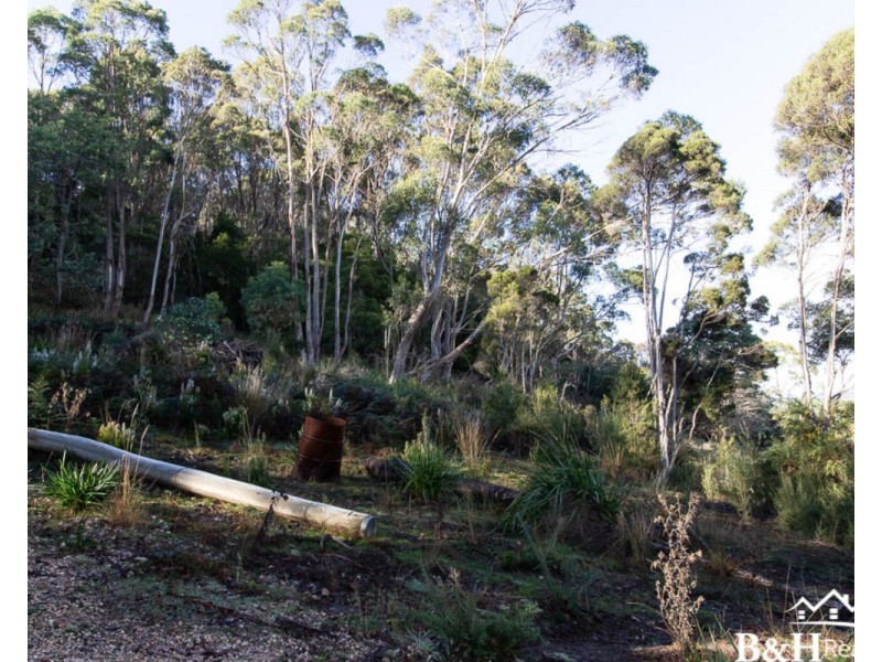26 Twiss Street, Latrobe TAS 7307