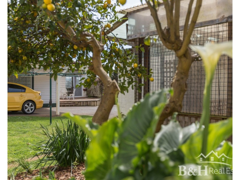 9 Halstead Street, Montello TAS 7320