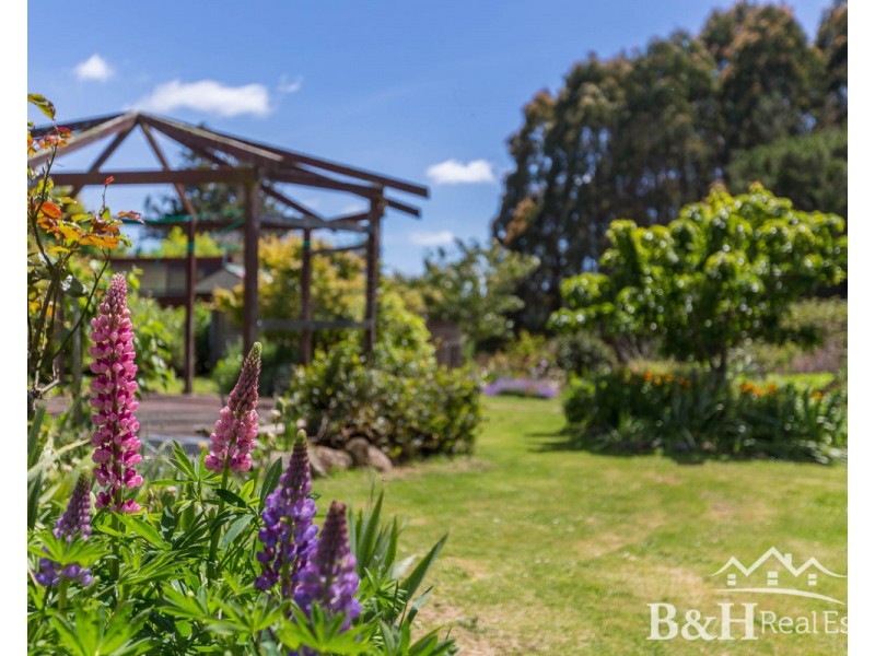 1001 Oldina Road, Oldina TAS 7325