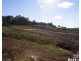 156 Melrose Road, Aberdeen TAS 7310