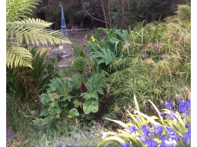 9 Olivers Road, West Ulverstone TAS 7315