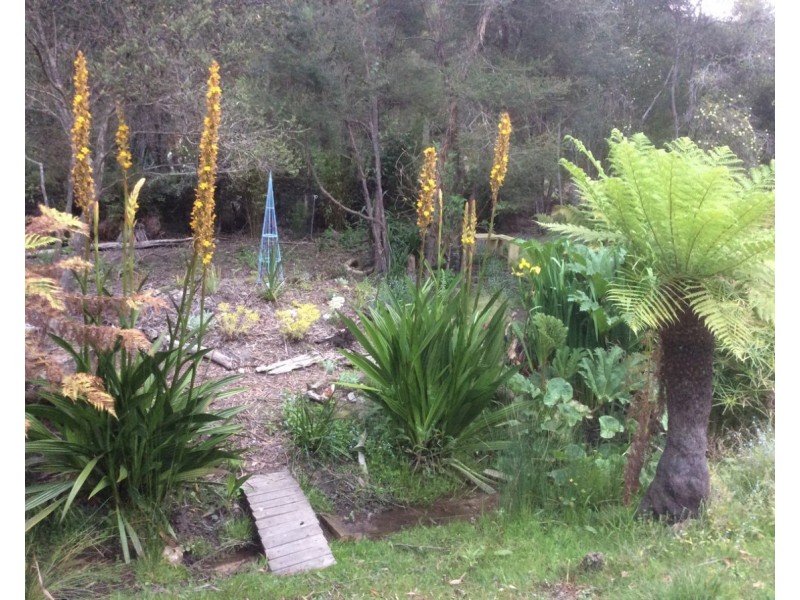 9 Olivers Road, West Ulverstone TAS 7315