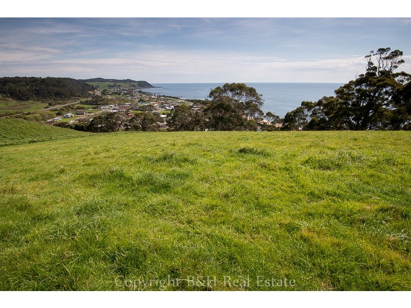 39 Creamery Road, Sulphur Creek TAS 7316
