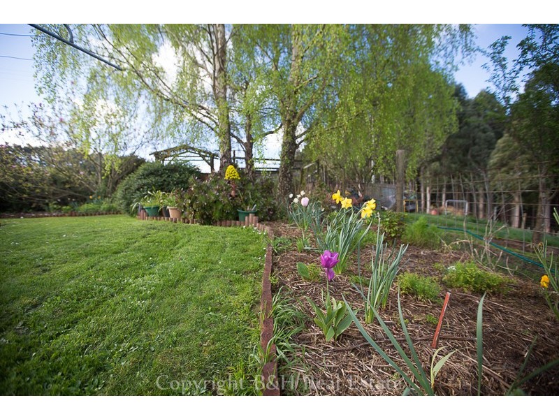 428 Smarts Road, Oldina TAS 7325
