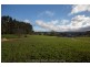 127a Little Village Lane, Somerset TAS 7322