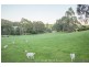 Lot 2, 330 Back Cam Road, Somerset TAS 7322