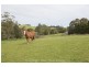 119 Cascade Rd, Romaine TAS 7320