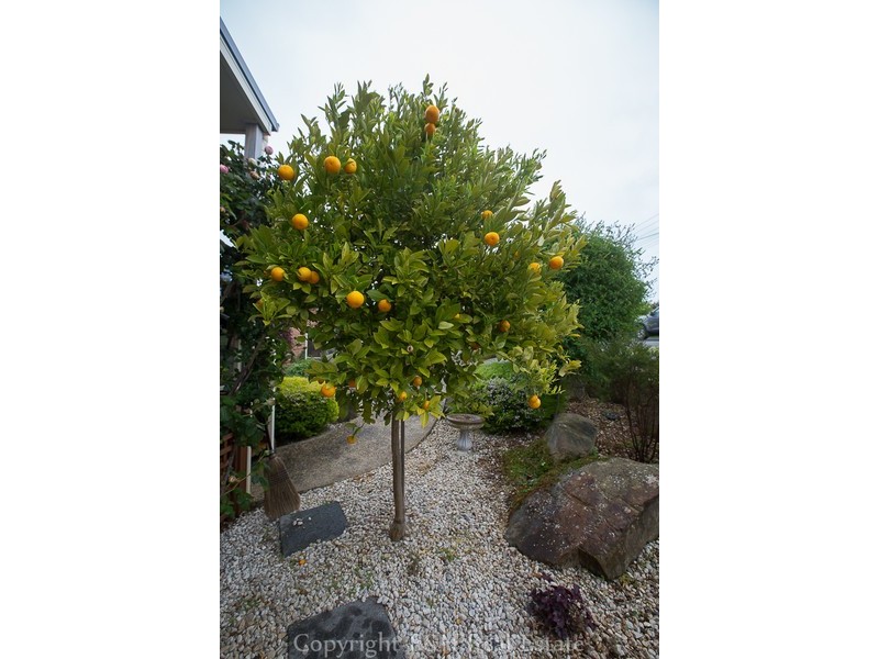 31-35 South Road, West Ulverstone TAS 7315