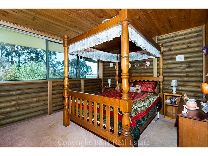 297 Preolenna Road, Flowerdale TAS 7325