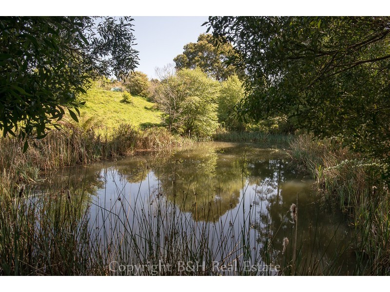 297 Preolenna Road, Flowerdale TAS 7325