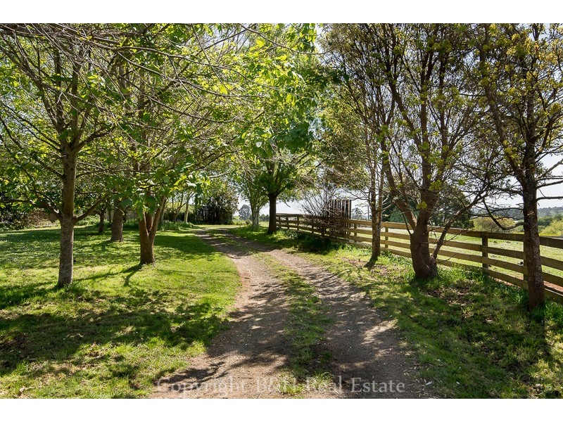297 Preolenna Road, Flowerdale TAS 7325