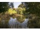 297 Preolenna Road, Flowerdale TAS 7325