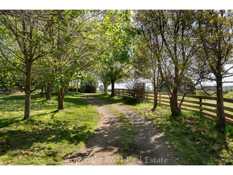 297 Preolenna Road, Flowerdale TAS 7325