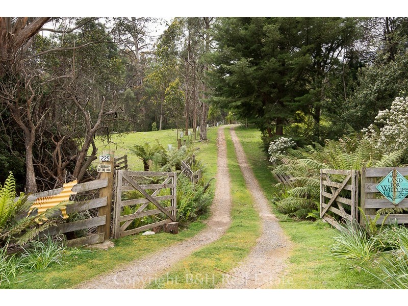225 O’Neills Road, Gowrie Park TAS 7306