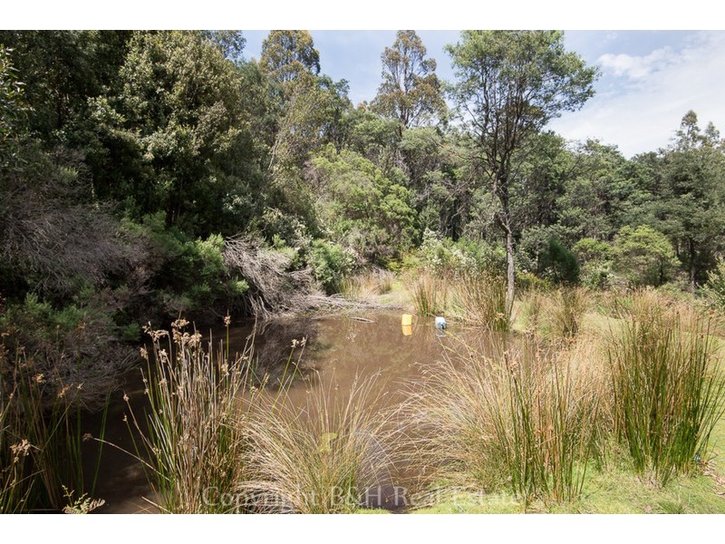 225 O’Neills Road, Gowrie Park TAS 7306