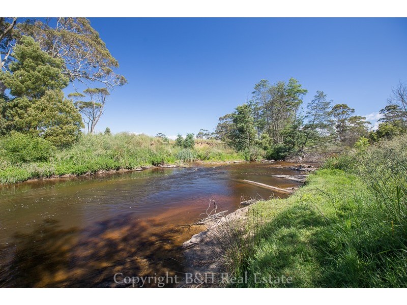 189 Preolenna Road, Flowerdale TAS 7325