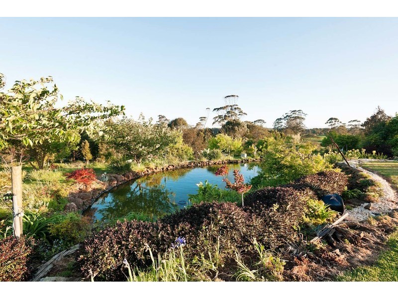189 Preolenna Road, Flowerdale TAS 7325
